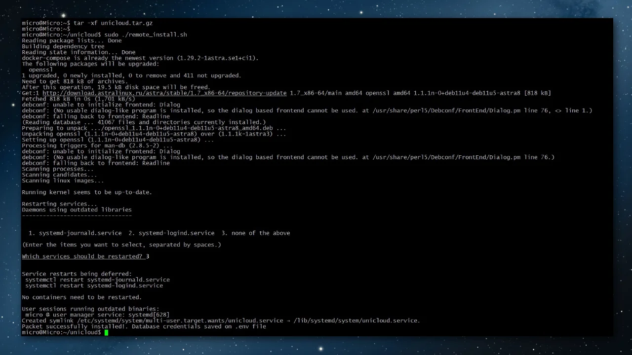 Executing the remote_install.sh script